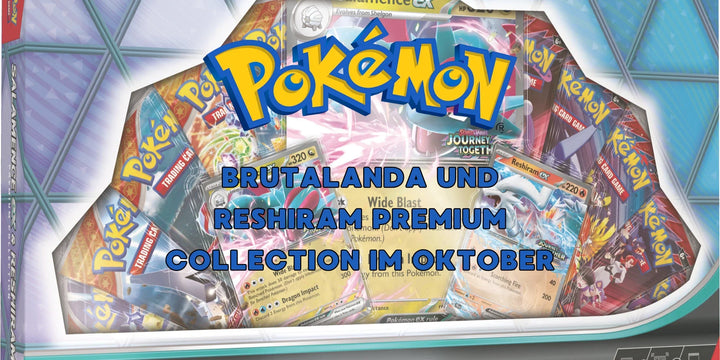 Allgemeines zum TCG – Blog Kategorie