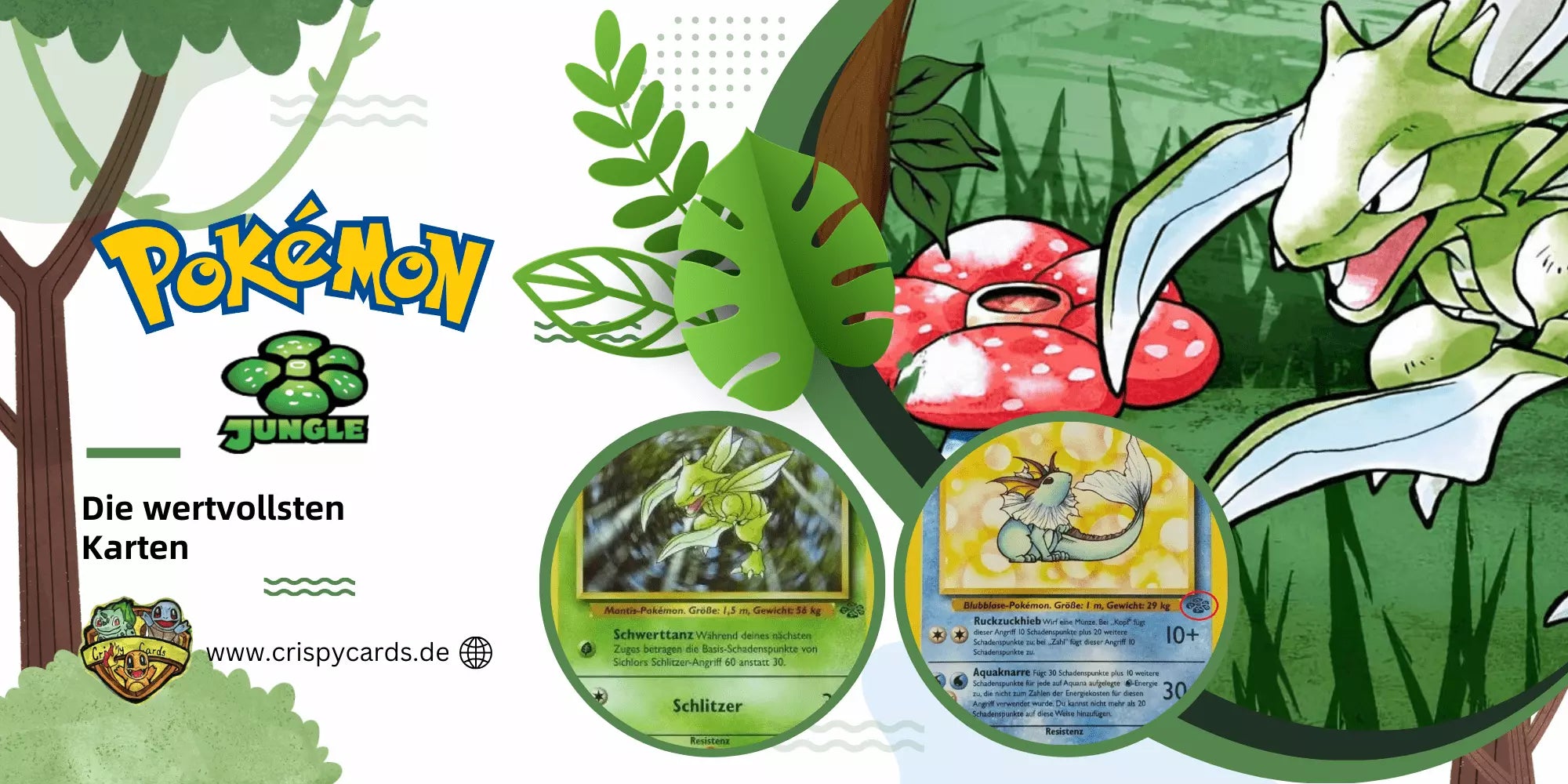 Die seltensten Pokémon Karten aus Dschungel