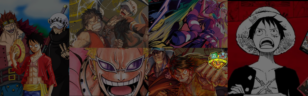 Die neuesten TCG-Produkte
