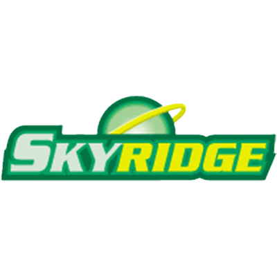 Pokémon Skyridge Logo