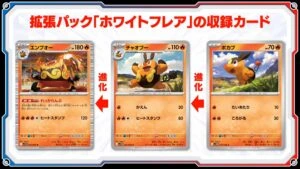 Emboar-ex-300x169